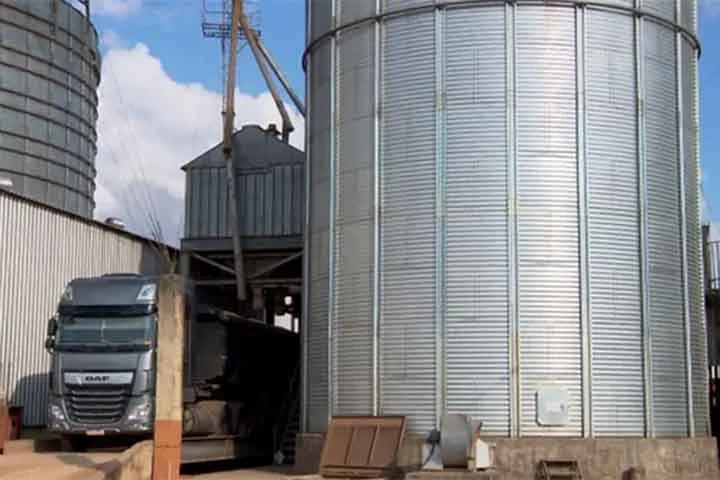 Fundamental para produção de ração animal e óleo vegetal no mundo inteiro.
Gera milhões de empregos diretos e indiretos e impulsiona a economia do Centro-Oeste.