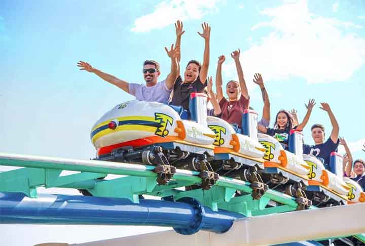 Atualmente, o parque está dividido em onze áreas distintas, com suas particularidades que vão desde os brinquedos, espetáculos e até mesmo sua tematização completa.