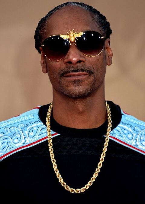 Snoop Dog faz sucesso desde seu álbum de estreia, intitulado Doggystyle, lançado em 1993 pela Death Row Records.