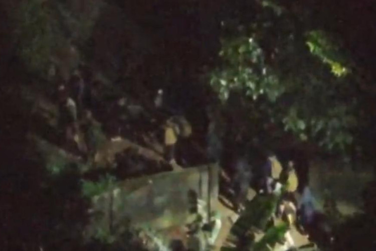 Cerca de 400 pessoas fugiram para a mata durante a operação