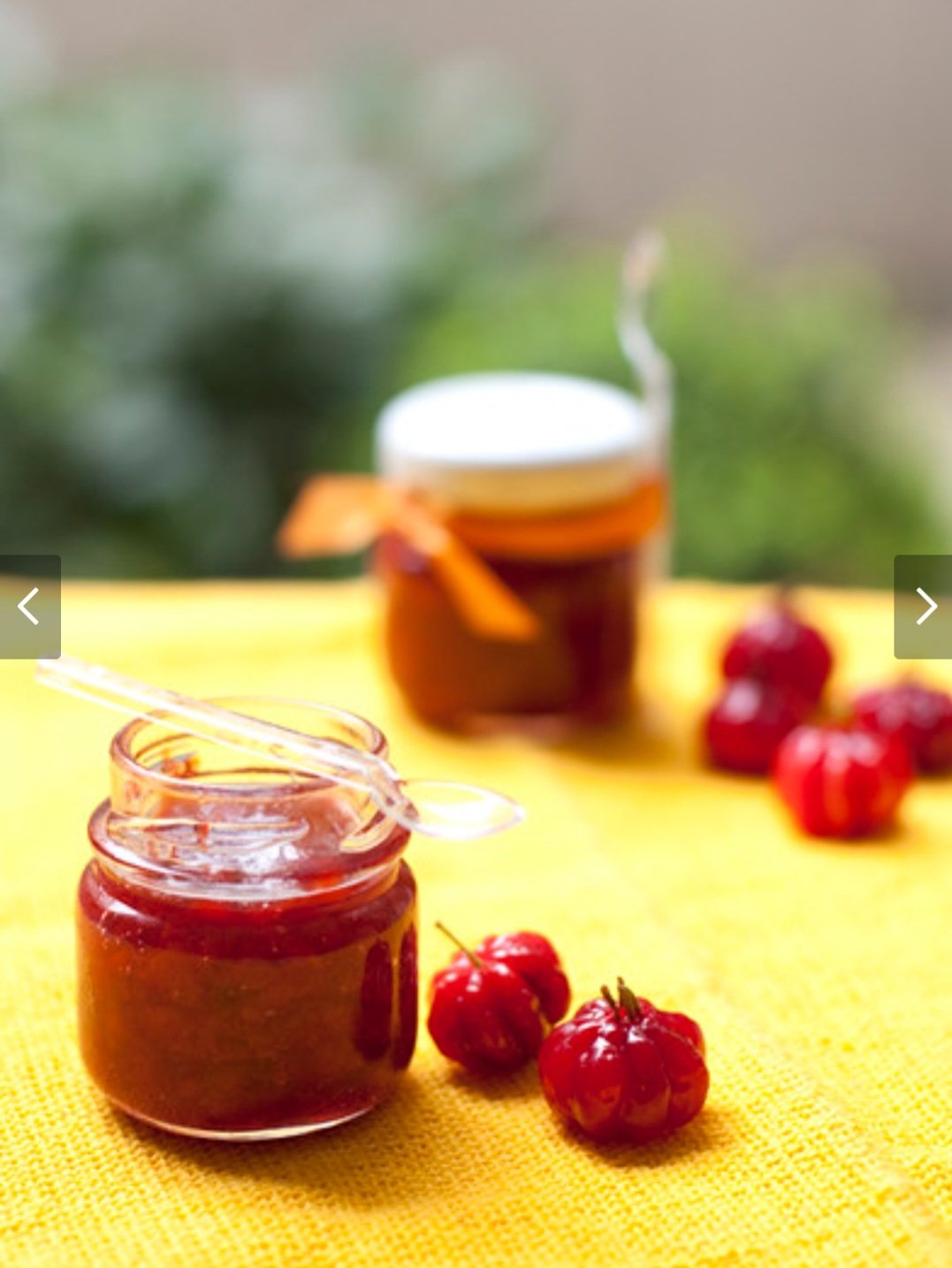 Uma vez preparada, a geleia de pitanga deve ser armazenada em um recipiente bem fechado para evitar a saída e a entrada de ar. Outra fruta que pode ser utilizada na produção de geleia é a seriguela.