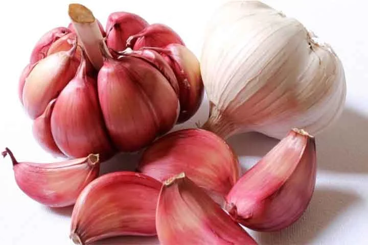 Devido à ação antioxidante e anti-inflamatória proporcionada pela alicina e pelo enxofre o consumo de alho ajuda a proteger as células do cérebro e a diminuir os danos causados ​​pelos radicais livres.