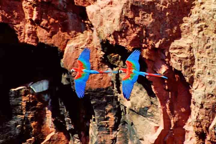 O que sobra dos lucros vai para Modesto Sampaio, que é o proprietário do Buraco das Araras desde os anos 1980 — antes, a área era usada para pecuária.