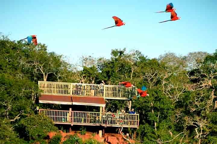 Desde que se tornou Reserva Particular do Patrimônio Natural, apenas três atividades são permitidas no local: pesquisa científica, ecoturismo e educação ambiental. 