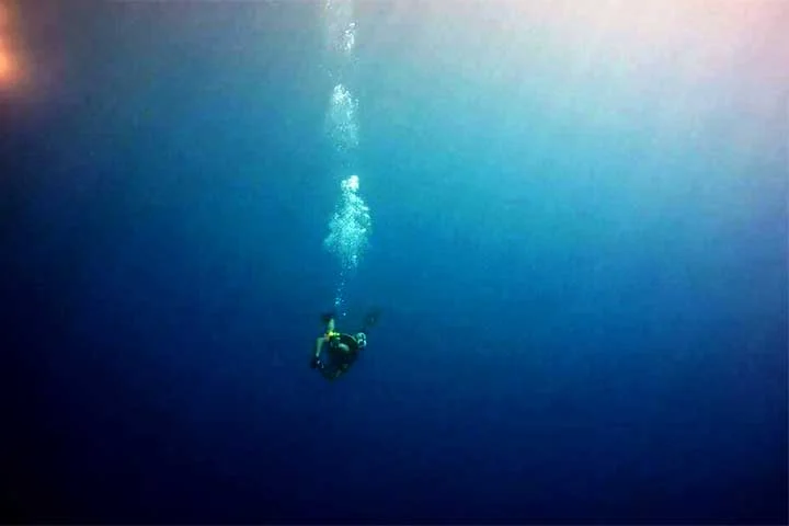 O horário da visitação vai de segunda à sexta, das 8h às 17h. O lugar fica fechado nos feriados.