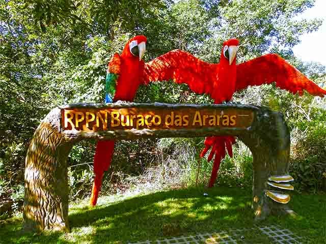 As visitas são controladas e realizadas com acompanhamento de guias treinados. 