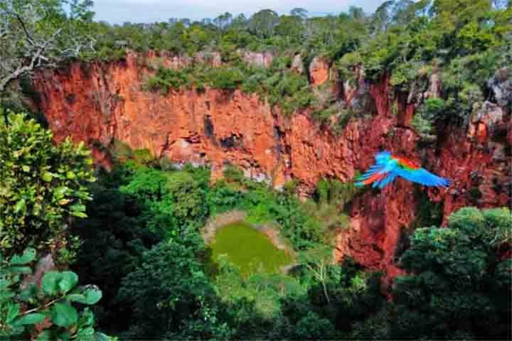 A riqueza da vida selvagem no local fez com que, em 2007, o governo federal o declarasse uma Reserva Particular do Patrimônio Natural (RPPN).