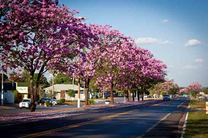 Com uma população estimada em cerca de 24 mil habitantes, Jardim é famoso por ser um dos destinos mais encantadores do estado.