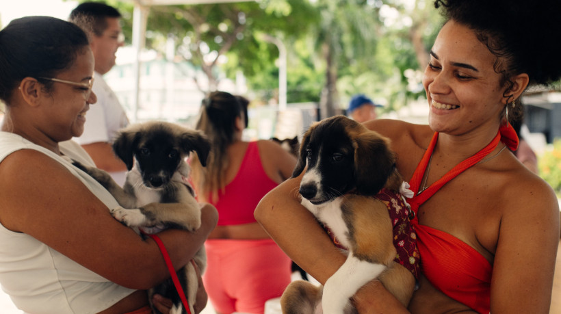 Serão realizadas cerca de 200 castrações ao dia