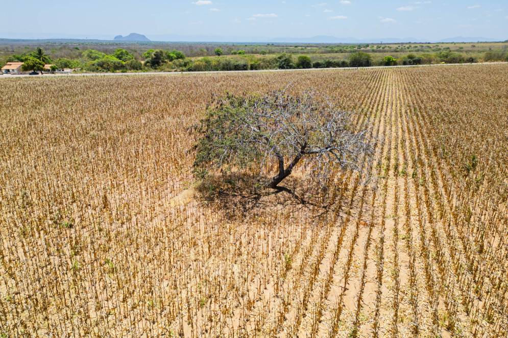 Desertificação no Sertão Central no Ceará 