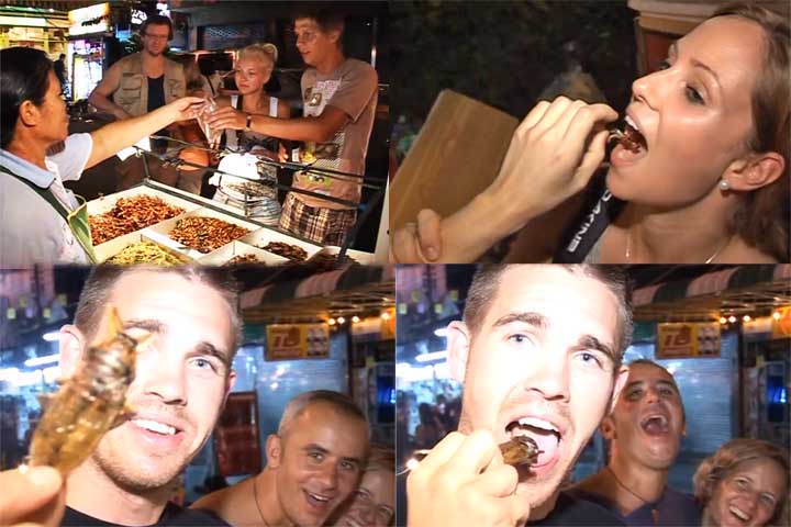 Como evitar: Manter a casa limpa, vedar frestas, guardar alimentos em recipientes fechados e eliminar fontes de umidade são medidas eficazes para evitar infestações de baratas.
