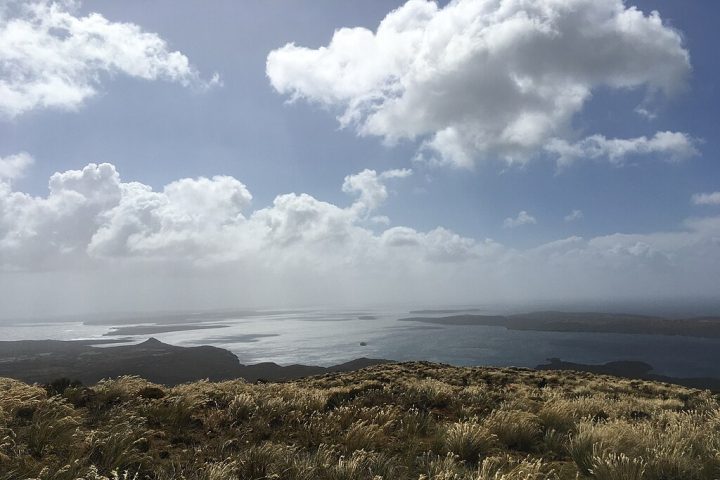 A Nova Zelândia e a Nova Caledônia são as principais terras emersas da Zelândia, mas outras pequenas ilhas, como as Ilhas Auckland e as Ilhas Chatham, também fazem parte dela.