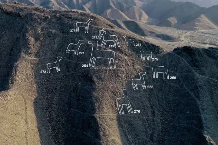 Recentemente, com a ajuda da inteligência artificial (IA), cientistas dobraram o número de figuras conhecidas e identificaram 303 novos geoglifos em apenas seis meses.