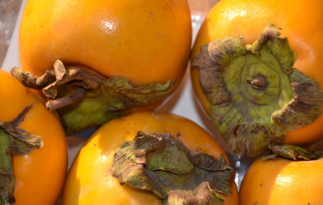 A fruta é rica em vitaminas A, B1, B2 e E, bem como cálcio, ferro, fibras e antioxidantes, que favorecem o fortalecimento do sistema imunológico. Além de retardar o desenvolvimento de doenças crônicas, cardíacas, câncer e condições neurológicas.