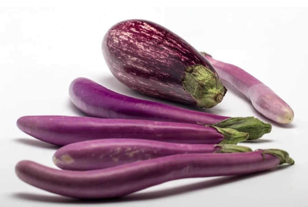 O nome berinjela é oriundo do termo persa badnjan, através do termo árabe badinjanâ. De polpa macia e flexível, tem uma película lisa e lustrosa que a envolve.