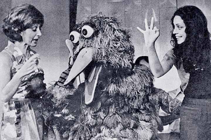 Em 1969, ela atuou em sua primeira novela, “A Menina do Veleiro Azul”, na extinta TV Excelsior. Sônia Braga também participou da versão brasileira da série infantil “Vila Sésamo”.

