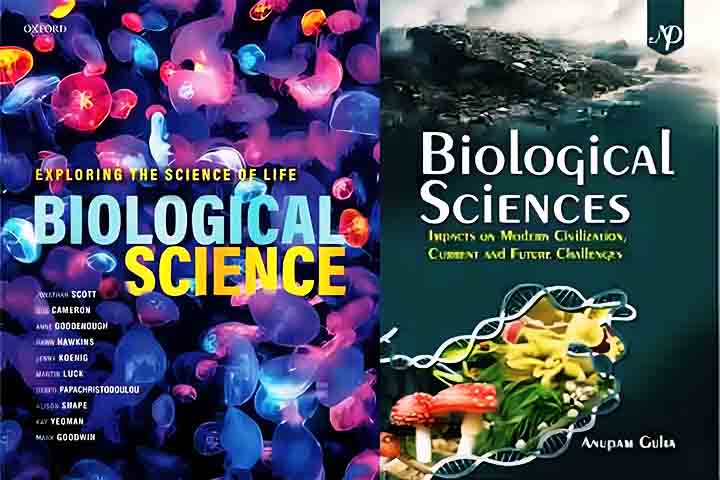 A nova espécie foi nomeada de Flammarionella heihakuni e descrita na revista científica Biological Sciences no mês de setembro. O nome foi uma homenagem ao astrônomo francês Camille Flammarion e ao colecionador amador Haikun He, que doou diversos espécimes preservados em âmbar aos cientistas.