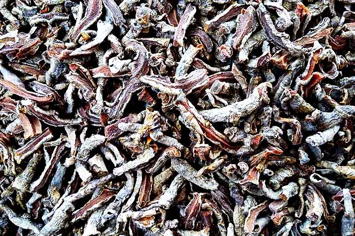 Uma área que externamente apresenta uma coloração esbranquiçada ou acinzentada e internamente amarelada. Reproduz-se por pedaços do rizomas que apresentam gemas (olhos) com plantio em solo argiloso, fértil e de fácil drenagem.  