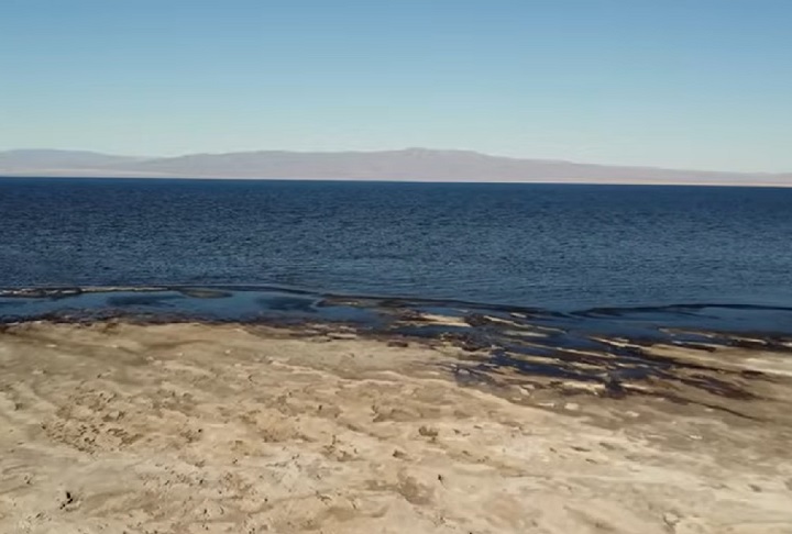 Diante disso, a Autoridade do Mar de Salton fez um alerta: se as ações para enfrentar esses problemas não forem reforçadas, a região pode ficar inabitável, tanto para pessoas quanto para animais.