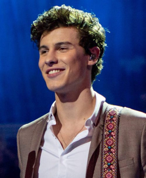 Desde então, Shawn Mendes fez apenas uma apresentação no Theatre Royal Drury Lane, em Londres, em 13/8/2024. O retorno no palco para um grande público está marcado para 22/9/2024, no Rock in Rio, com ingressos já esgotados. Em outubro, ele irá lançar o álbum Shawn, o quinto de sua carreira. 