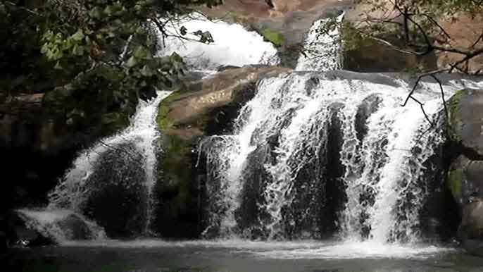 A qualidade da água é constantemente analisada e certificada, o que garante seu destaque no mercado nacional. Isso também atrai visitantes interessados no turismo de bem-estar.