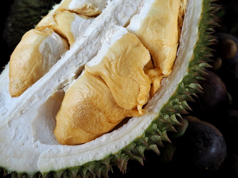 A durian é bastante rica em vitamina C. São 19,7 miligramas – 33% do que um adulto precisa por dia.