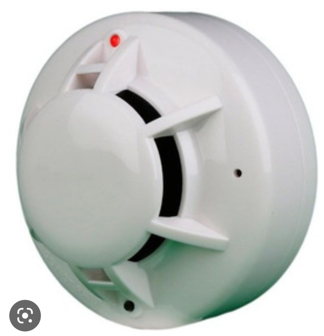 Por isso, ao ficar madura, a durian libera gases que podem ser detectados por sistemas de proteção. 