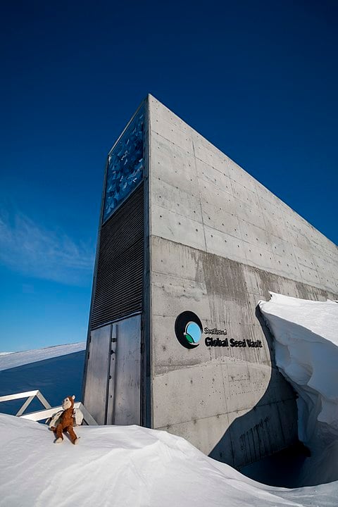 Por tudo isso, o cofre de Svalbard é na Noruega, mas é de todo o mundo. 