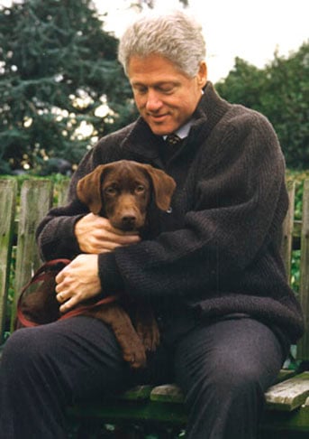 Bill Clinton - Político, ex-presidente dos Estados Unidos, passou a abrir mão de carnes, ovos e laticínios por causa de problemas cardíacos. Ele chegou a fazer cirurgias. Sentiu-se melhor como vegano e disse que, assim, espera viver mais tempo. 