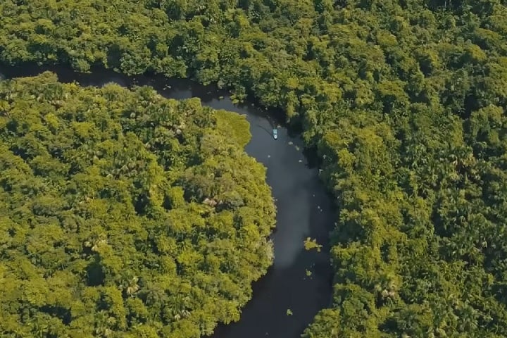Diferentemente das ilhas tradicionais, a Ilha das Guianas é do tipo fluvio-marinha, ou seja, cercada por uma combinação de águas oceânicas (Oceano Atlântico) e fluviais (rios Orinoco, Negro, Cassiquiare e Amazonas), que delimitam seus contornos.