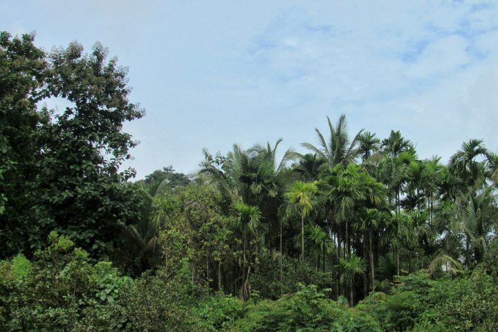Por isso, reconhecer a ilha como um patrimônio estratégico é essencial para sua preservação e desenvolvimento, garantindo a proteção de seus ecossistemas e culturas tradicionais.