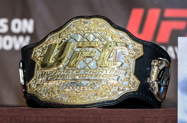 O Jiu-Jitsu Brasileiro se expandiu mundialmente nos anos 1990, principalmente com a criação do evento UFC (Ultimate Fighting Championship).