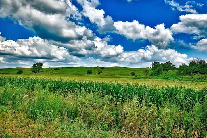 A safra brasileira de grãos (2022/2023) está estimada em 77 milhões de hectares, 312 milhões de toneladas, e produtividade média de 4.048 kg/ha. O milho total equivale a 22 milhões de hectares e a 124 milhões de toneladas, com produtividade média de 5.617 kg/ha.