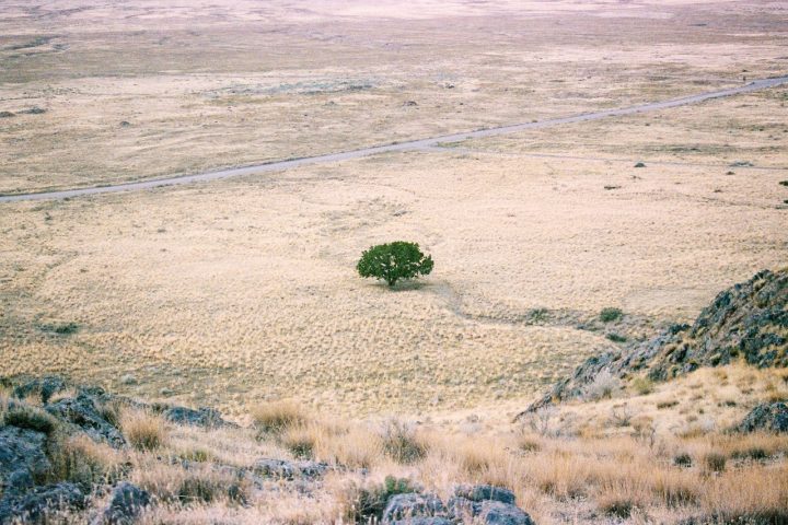 O problema veio quando o clima mudou: a floresta diminuiu, o ambiente ficou mais seco e as estações do ano mais definidas. 