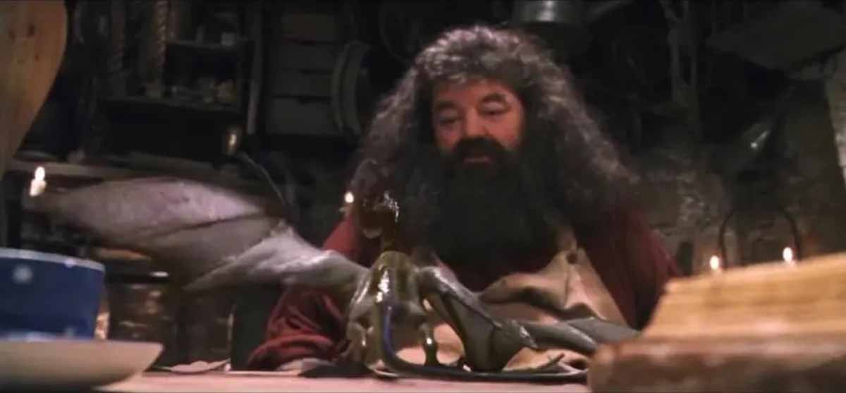 Norberto (Norberta) – Dragão-norueguês criado por Hagrid quando filhote. Originalmente chamado de Norberto, depois é revelado ser fêmea e enviado para a Romênia.
