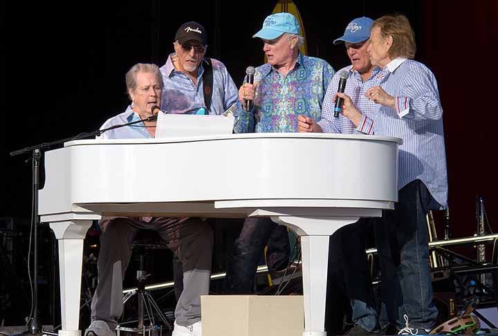 Assim, a obra conta a genialidade e problemas do líder Brian Wilson, assim como fases da banda, que rivalizou com os The Beatles e marcou uma geração nos anos 60. A banda foi incluída no Hall da Fama do Rock and Roll em 1988. 