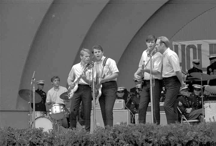 O álbum Pet Sounds é um dos mais importantes modelos para o desenvolvimento da musica psicodélica e para a vanguarda. Influenciou os Beatles e George Martin a criar o Sgt. Pepper's Lonely Hearts Club Band e os ingleses de uma forma geral. Em 1966, Brian terminou o single seguinte do grupo, Good Vibrations