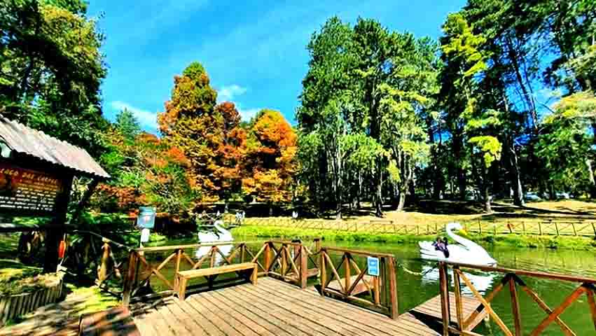 Para quem busca contato com a natureza, as opções são muitas. O Horto Florestal (foto) oferece trilhas, cachoeiras e ar puro, enquanto o Parque Amantikir surpreende com jardins inspirados em diferentes partes do mundo, perfeitos para caminhadas.