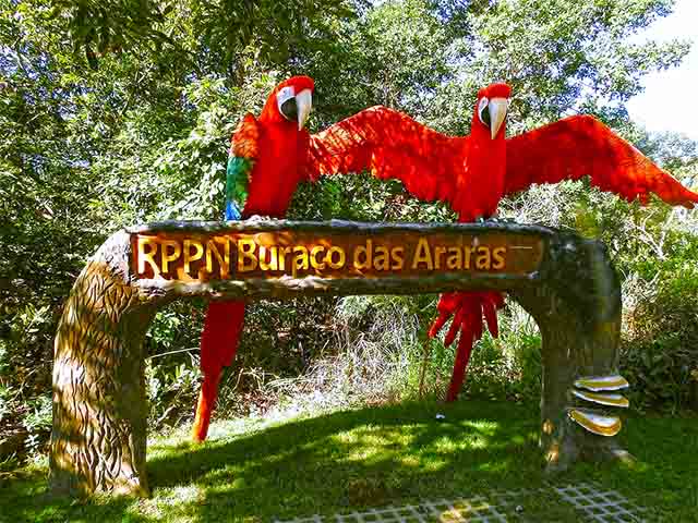 As visitas são controladas e realizadas com acompanhamento de guias treinados. 