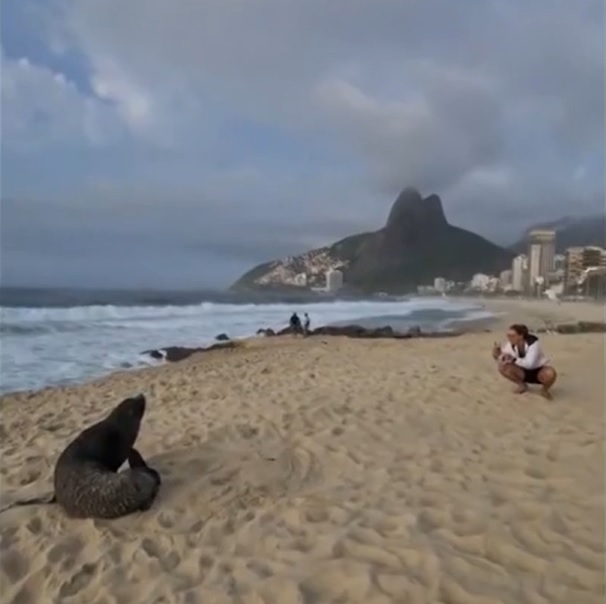 Se sentindo em casa, Joca já rolou na areia, deu um mergulho e até posou para fotos; uma verdadeira celebridade de Ipanema!