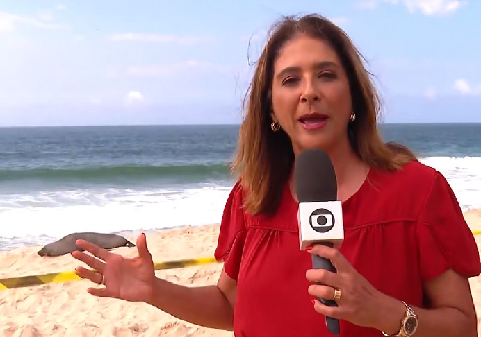 Ao abordar uma senhora curiosa que estava no local para acompanhar a chegada de um lobo-marinho que apareceu nas areias da praia, a jornalista tentou interagir.