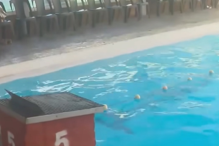 No momento em que Bottoni pulou, outro competidor passou por sua raia e os dois colidiram com força, causando a grave fratura.