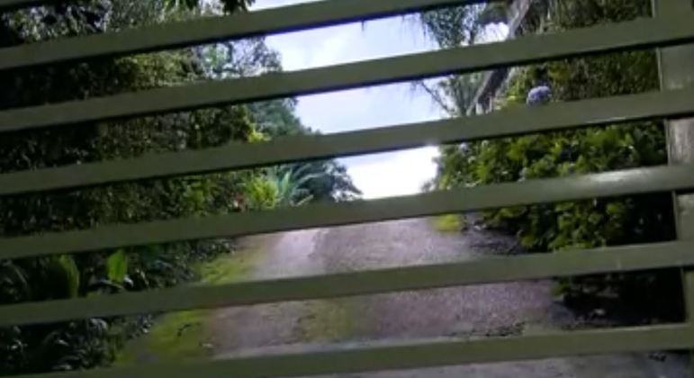 Uma idosa de 70 anos foi morta ao ser atacada por três pitbulls em Maitiporã (SP). Ela fazia uma caminhada quando os animais soltos na rua atacaram.