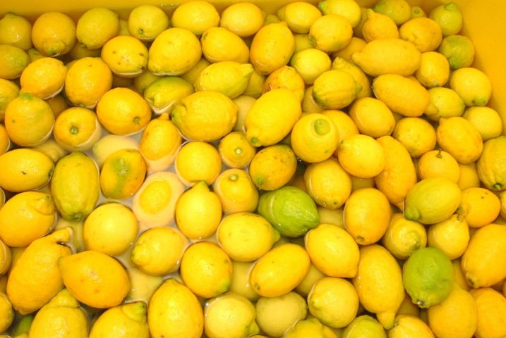 12º) Limone di Sorrento (Itália) - Também conhecido como Limone di Massa Lubrense ou Massese, é um tipo de limão aromático cultivado na província de Nápoles, especialmente na Península Sorrentina, desde a Renascença.