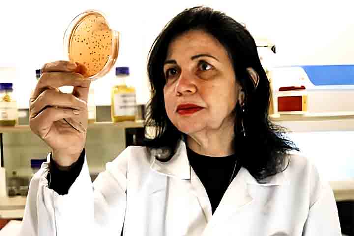 “É uma forma de levar uma imagem positiva da sustentabilidade no Brasil, de mostrar que a gente não é só devastação”, destacou a cientista. 

