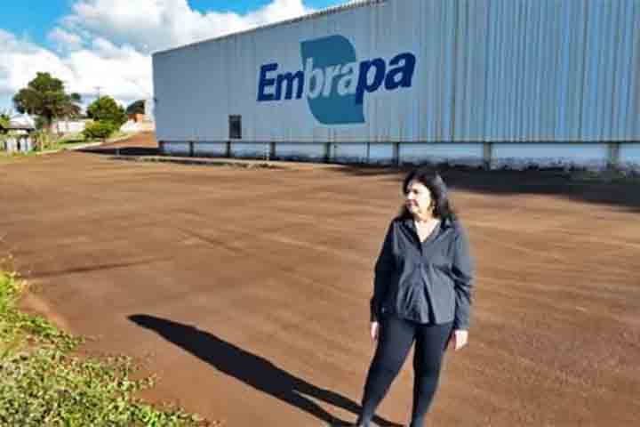 Ela atua desde 1991 como pesquisadora na Embrapa Soja, unidade da Embrapa (Empresa Brasileira de Pesquisa Agropecuária) destinada a desenvolver tecnologias e modelos para a produção de soja no país.
