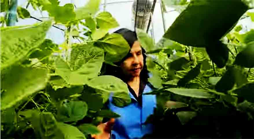 A estimativa é que suas pesquisas tenham gerado alternativas de técnicas adotadas em mais de 40 milhões de hectares cultivados no Brasil. 
