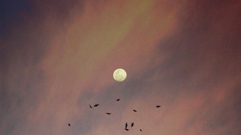 Veja qual fase da lua estamos nesta sexta, dia 13 de junho de 2025; e confira calendário do mês