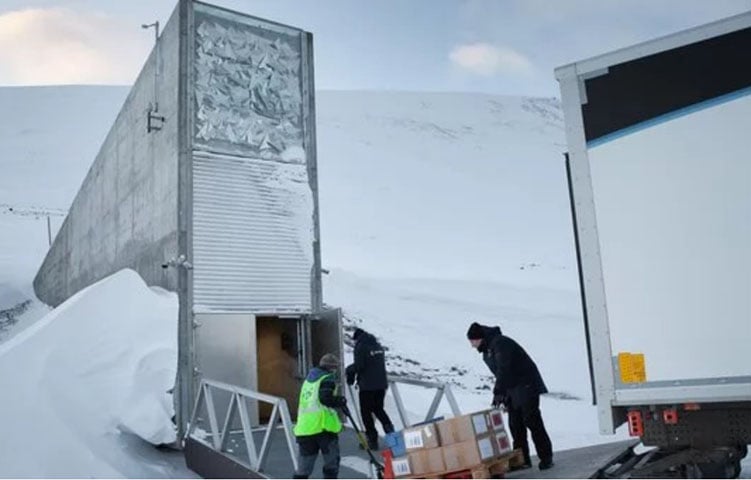 A estrutura do armazenamento tem condições de aguentar terremotos até de magnitude sete e um ataque nuclear 