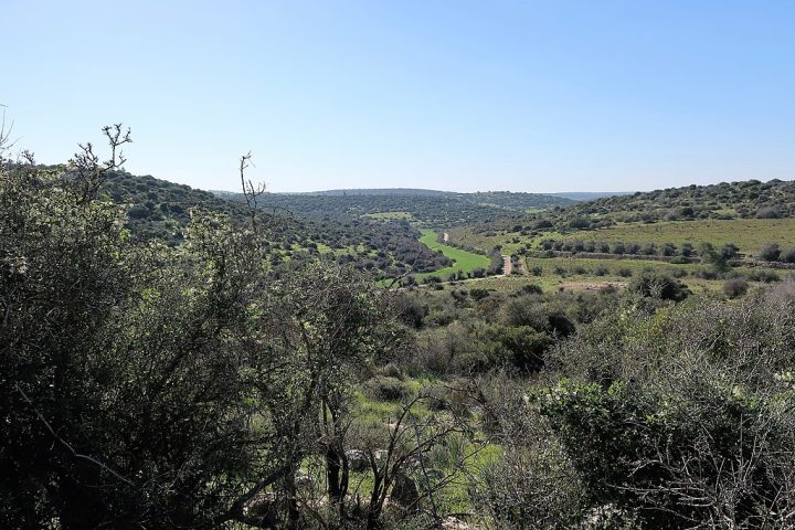 De acordo com os Evangelhos do Novo Testamento da Bíblia, Jesus nasceu em Belém, na Judeia (atual território de Israel e Palestina), durante o governo do rei Herodes.